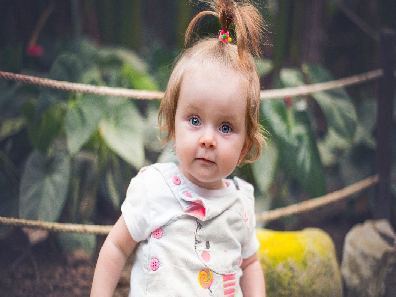 试管失败后腹部疼(夹试管的图片)